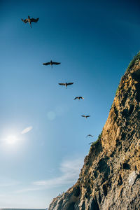 Low angle view of birds flying against blue sky