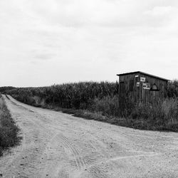 Dirt road amidst field against sky