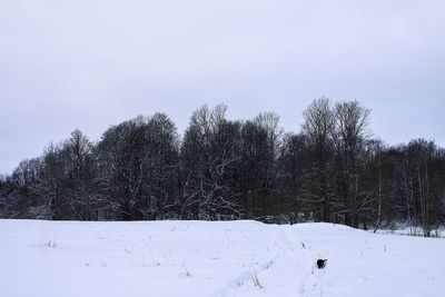 Snow covered field against sky