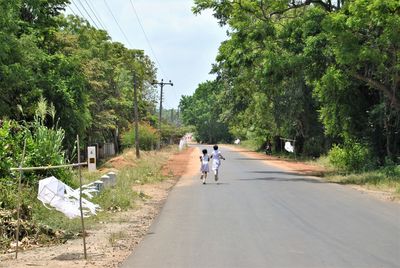 Rear view of people walking on road amidst trees