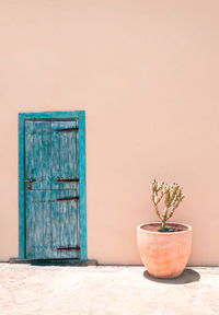 Cacti in pots outdoors. minimal floral botanical aesthetic wallpaper. beige colours trends. travel. 