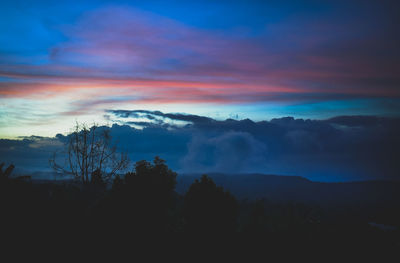 Silhouette trees against sky during sunset
