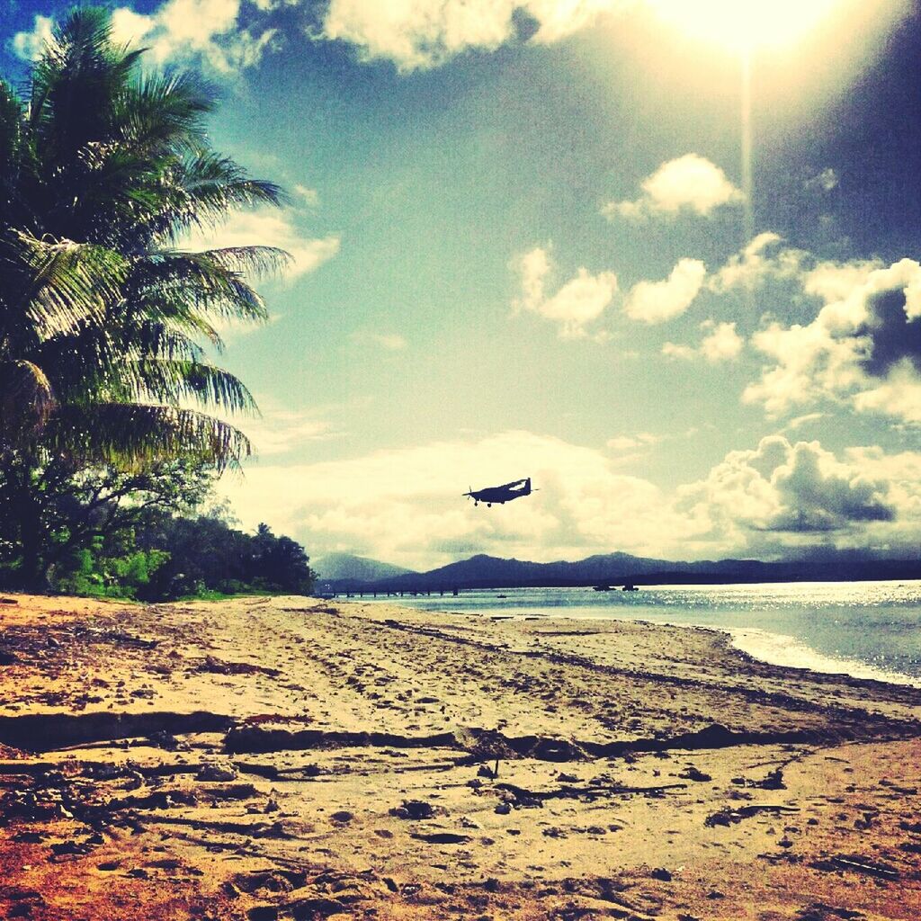 Dunk island