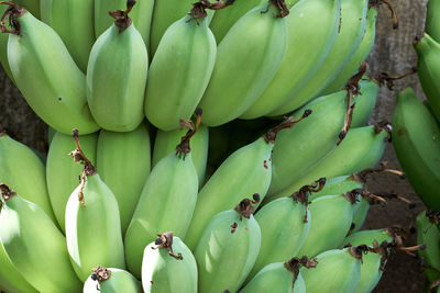 Full frame shot of bananas