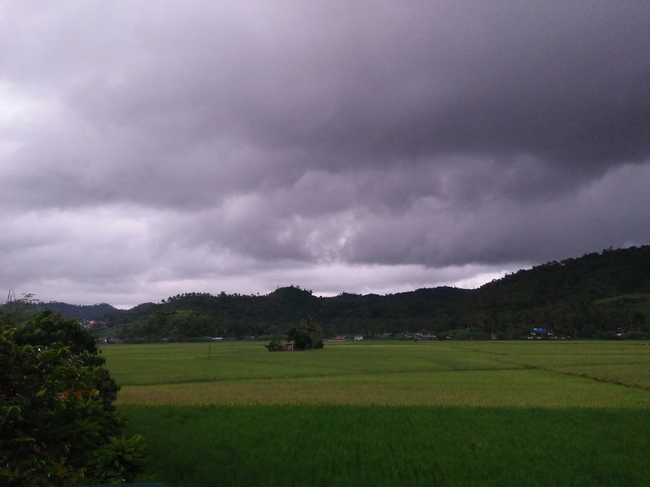 SCENIC VIEW OF GREEN LANDSCAPE AGAINST SKY