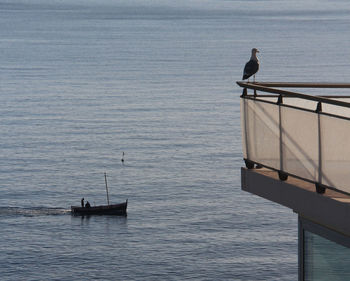 Seagull perching on boat in sea