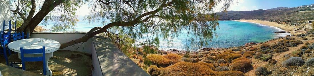 Panoramic view of trees