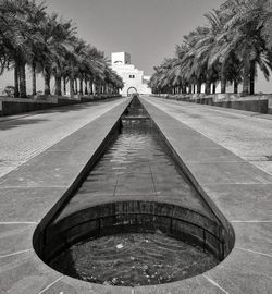 Palm trees by artificial pond outside museum against sky