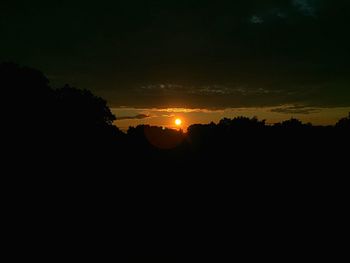 Silhouette trees against sky during sunset
