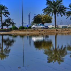 Reflection of palm trees on water against sky