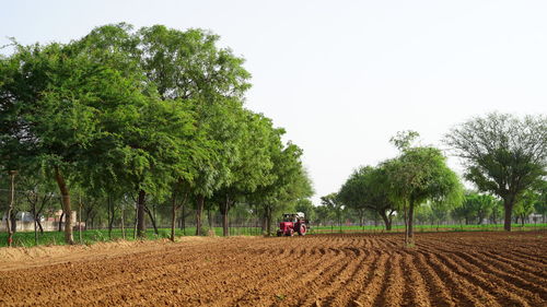 Farmer with tractor seeding, sowing crops at field. sowing is the process of planting seeds in the g