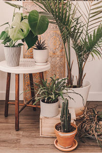 Potted plants on table against wall