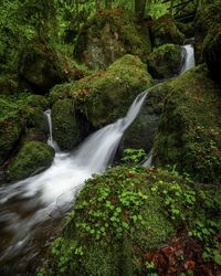 Water flowing through rocks in forest