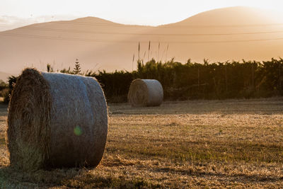 Hay bales on field