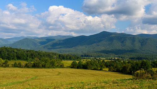 Scenic view of field against sky