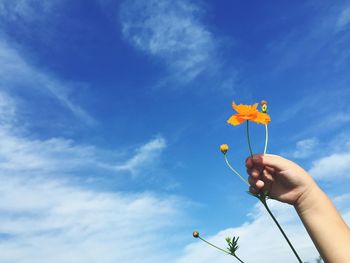 Low angle view of girl holding yellow flower against sky