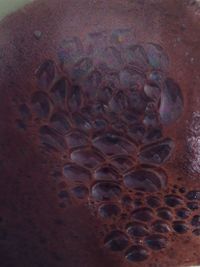 Close up of leaf