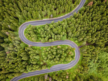 High angle view of road amidst trees