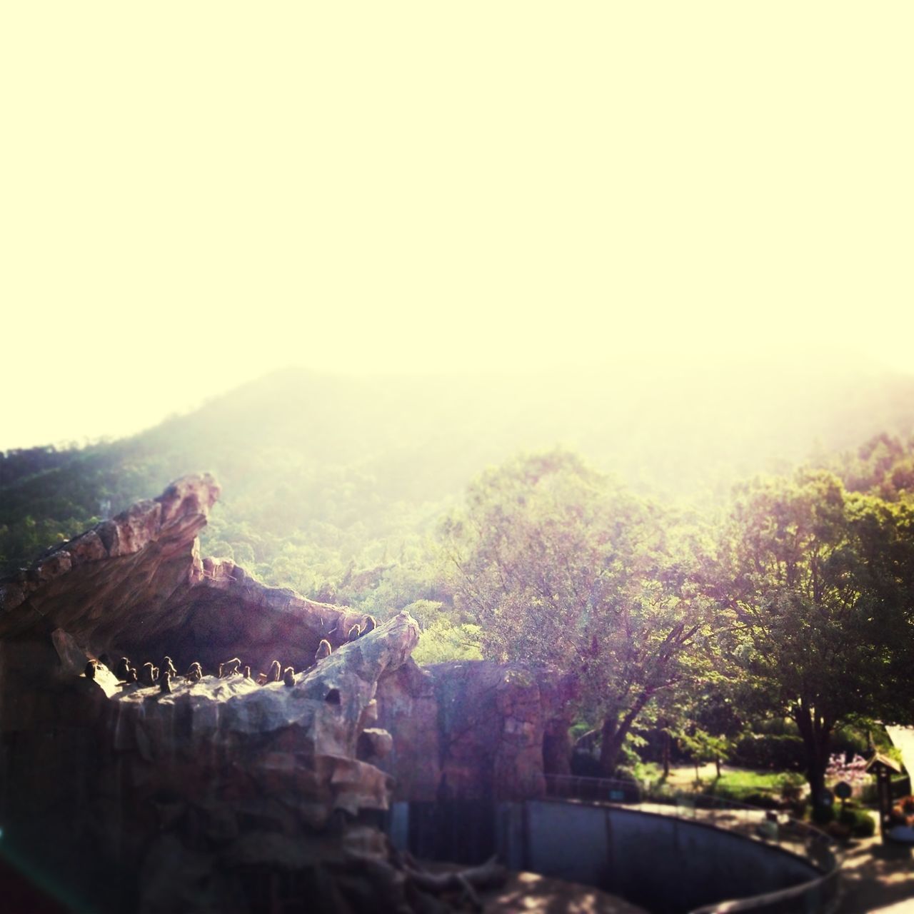 clear sky, tree, copy space, built structure, mountain, architecture, tranquility, building exterior, landscape, nature, scenics, tranquil scene, beauty in nature, day, outdoors, sky, rock - object, no people, high angle view, house