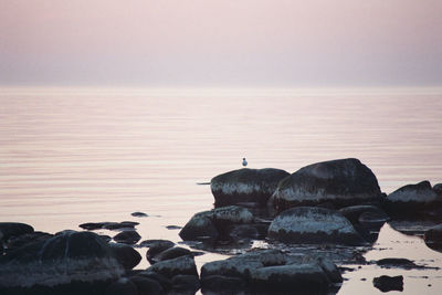 Rocks on beach against sky