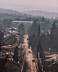 High angle view of trees and plants during winter