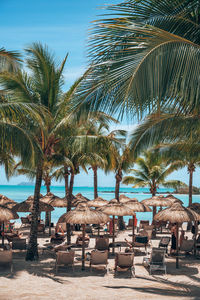 Palm trees on beach against sky