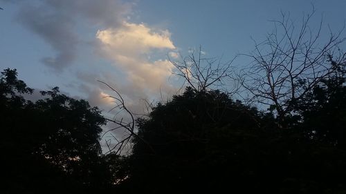 Low angle view of silhouette trees against sky