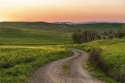 Road amidst field against sky during sunset