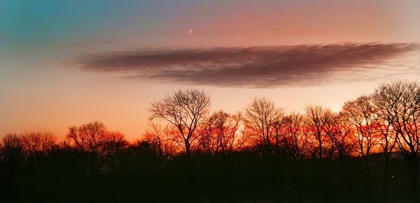 Silhouette bare trees against sky during sunset