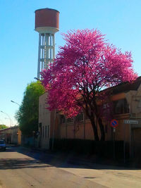 View of street light with trees in background