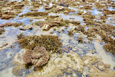 Scenic view of rocks in water against sky