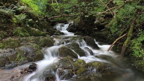 Stream flowing through rocks in forest