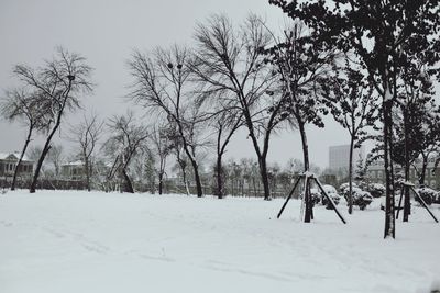 Bare trees on snow covered landscape
