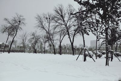 Bare trees on snow covered landscape