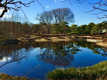 Reflection of trees in lake against sky
