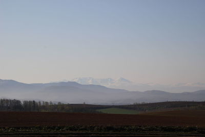 Scenic view of agricultural field against clear sky