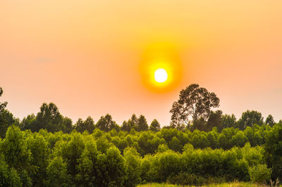 Scenic view of field against sky during sunset