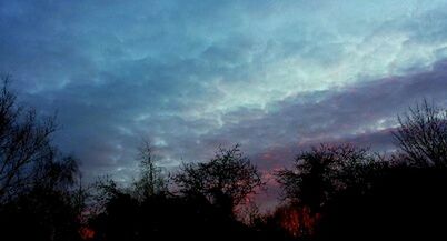 Silhouette of bare tree against cloudy sky