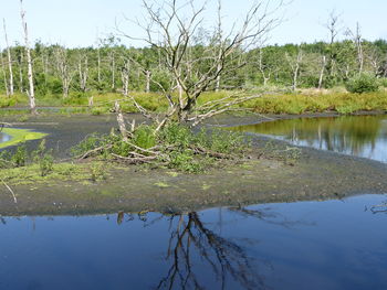 Scenic view of lake against sky