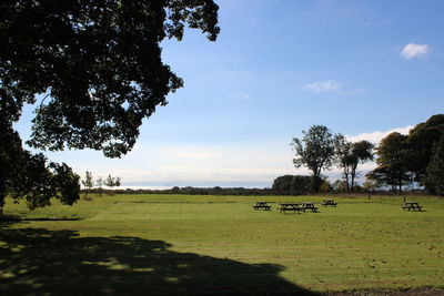 Scenic view of grassy field against sky