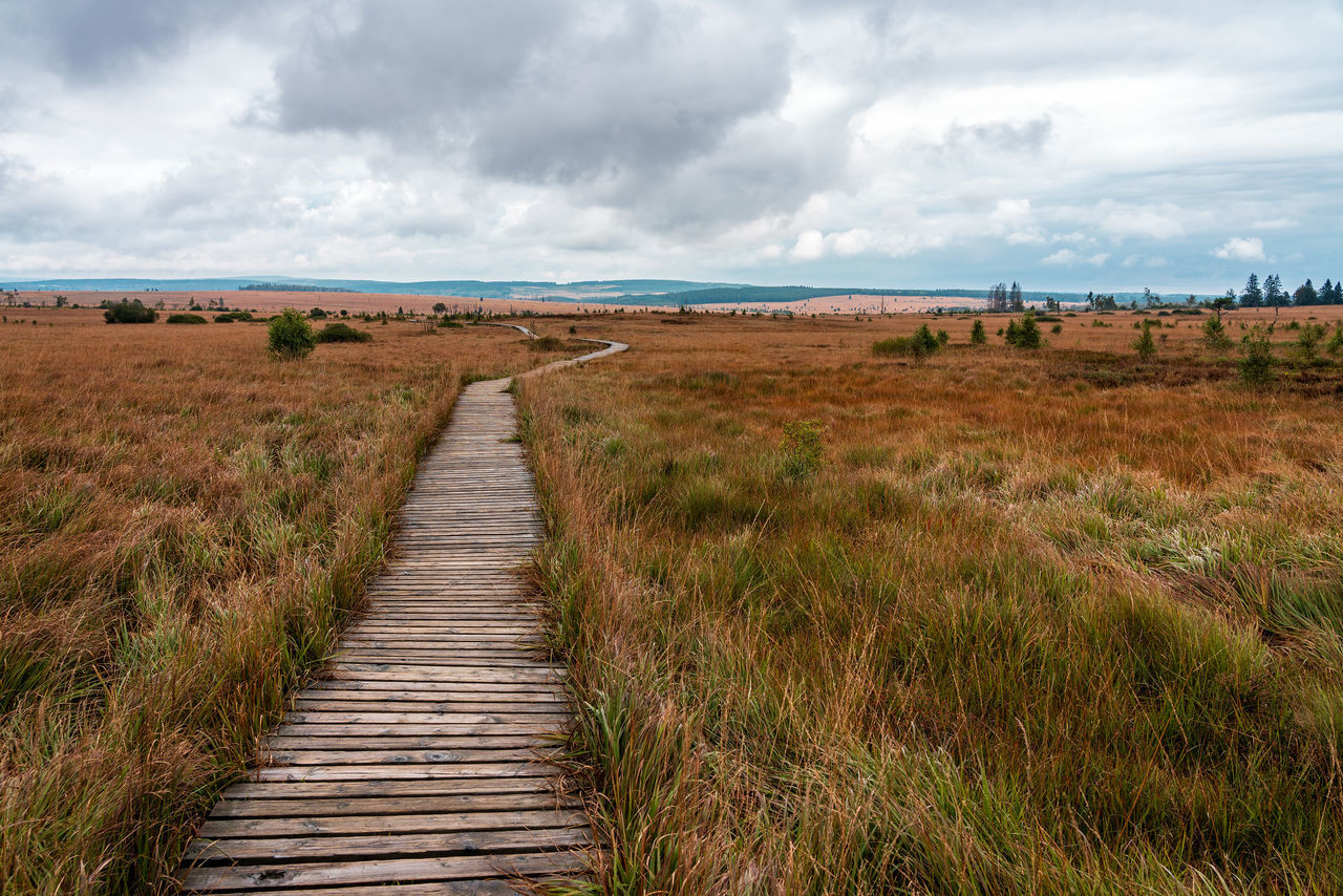 FOOTPATH LEADING TOWARDS FIELD