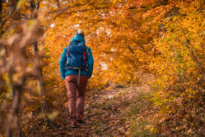 Rear view of backpack woman walking on footpath in forest during autumn