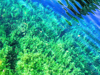 Scenic view of calm sea