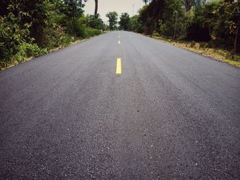 Empty road by trees in city