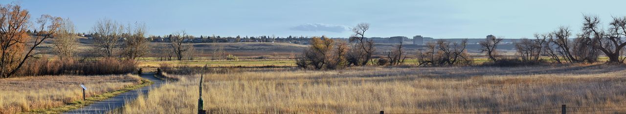 Panoramic shot of trees on field against sky