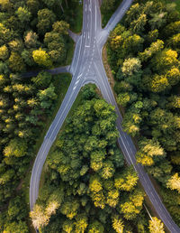 High angle view of road amidst plants