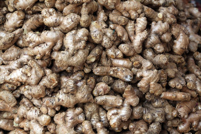 Ginger, vegetable market in kolkata, india