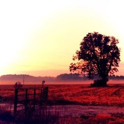 Scenic view of landscape at sunset