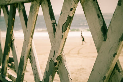 Close-up of wood on field