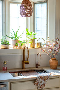 Potted flowers in sink